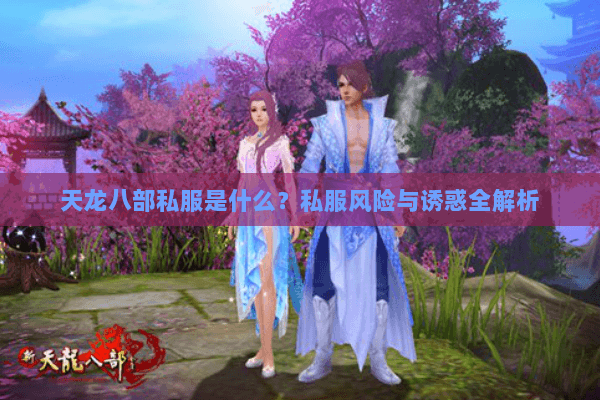 天龙八部私服是什么？私服风险与诱惑全解析
