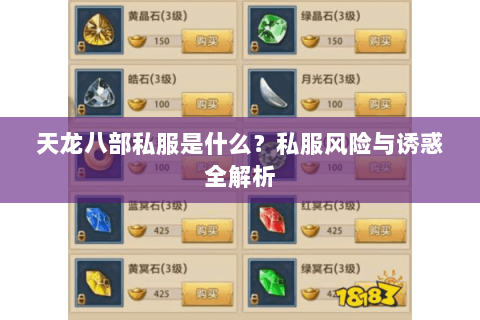 天龙八部私服是什么？私服风险与诱惑全解析
