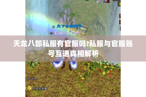天龙八部私服有官服吗?私服与官服账号互通真相解析