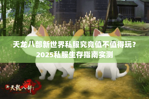 天龙八部新世界私服究竟值不值得玩？2025私服生存指南实测