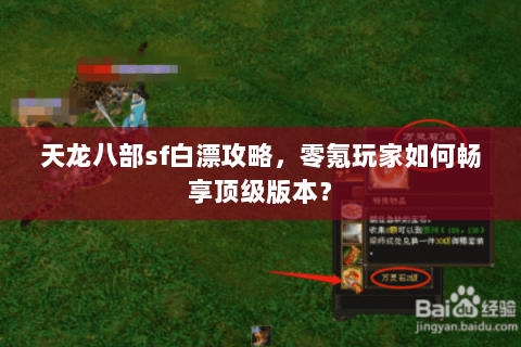 天龙八部sf白漂攻略，零氪玩家如何畅享顶级版本？
