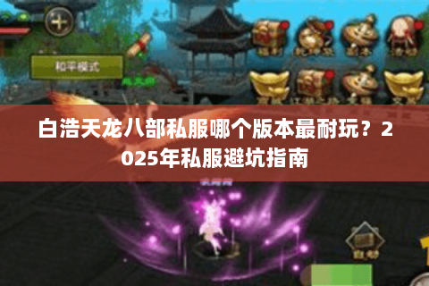 白浩天龙八部私服哪个版本最耐玩？2025年私服避坑指南