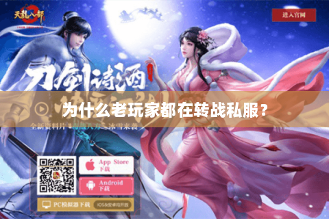 为什么老玩家都在转战私服？