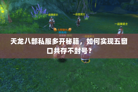 天龙八部私服多开秘籍，如何实现五窗口共存不封号？