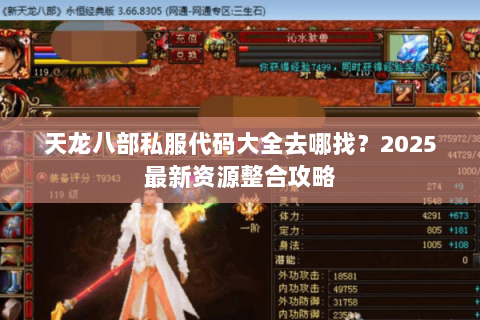 天龙八部私服代码大全去哪找？2025最新资源整合攻略