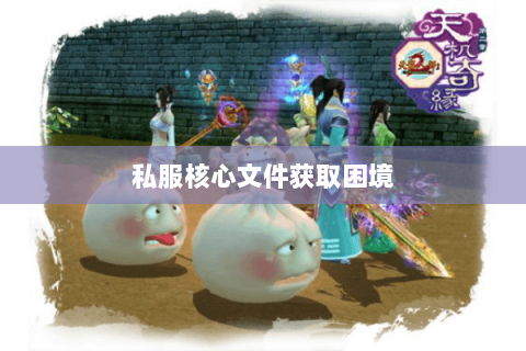 私服核心文件获取困境