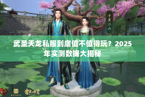 武圣天龙私服到底值不值得玩？2025年实测数据大揭秘