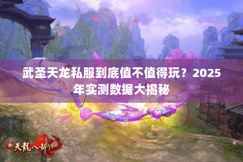 武圣天龙私服到底值不值得玩？2025年实测数据大揭秘