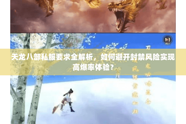 天龙八部私服要求全解析，如何避开封禁风险实现高爆率体验？