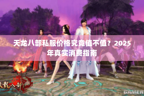 天龙八部私服价格究竟值不值？2025年真实消费指南