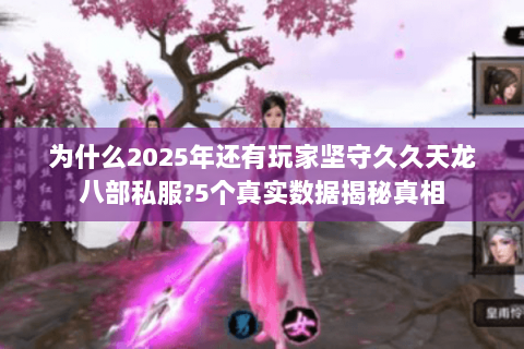 为什么2025年还有玩家坚守久久天龙八部私服?5个真实数据揭秘真相