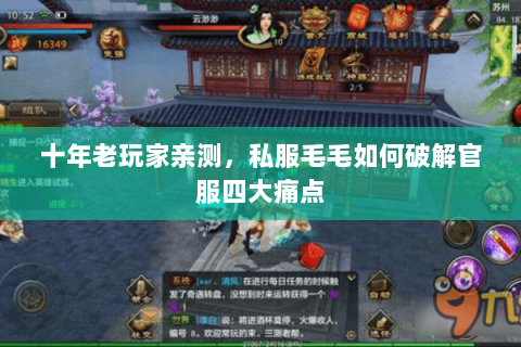 十年老玩家亲测，私服毛毛如何破解官服四大痛点