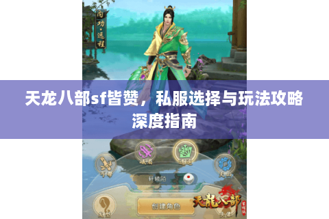 天龙八部sf皆赞，私服选择与玩法攻略深度指南