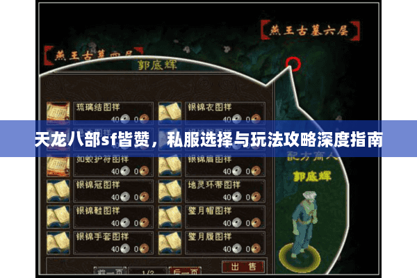 天龙八部sf皆赞，私服选择与玩法攻略深度指南