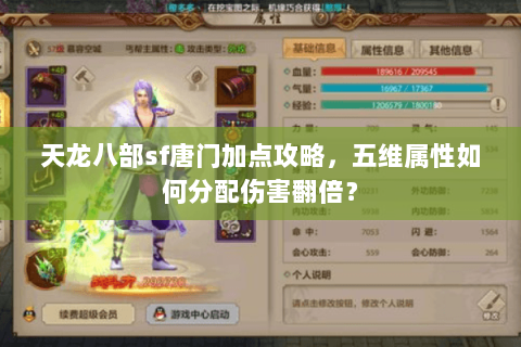 天龙八部sf唐门加点攻略，五维属性如何分配伤害翻倍？