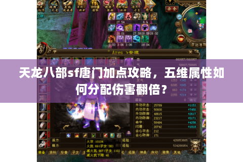 天龙八部sf唐门加点攻略，五维属性如何分配伤害翻倍？