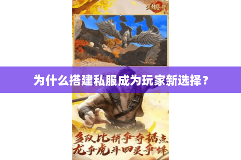 为什么搭建私服成为玩家新选择？