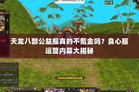 天龙八部公益服真的不氪金吗？良心服运营内幕大揭秘