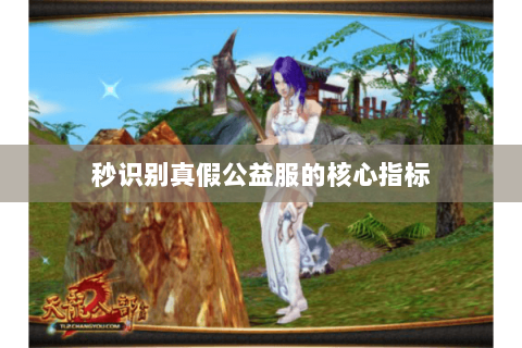 秒识别真假公益服的核心指标