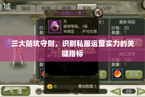 三大防坑守则，识别私服运营实力的关键指标