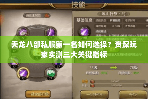 天龙八部私服第一名如何选择？资深玩家实测三大关键指标