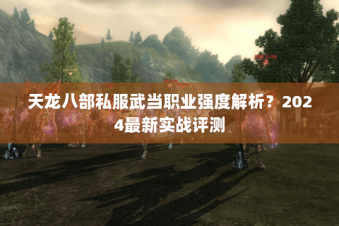 天龙八部私服武当职业强度解析？2024最新实战评测