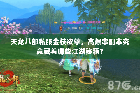 天龙八部私服金枝欲孽，高爆率副本究竟藏着哪些江湖秘籍？