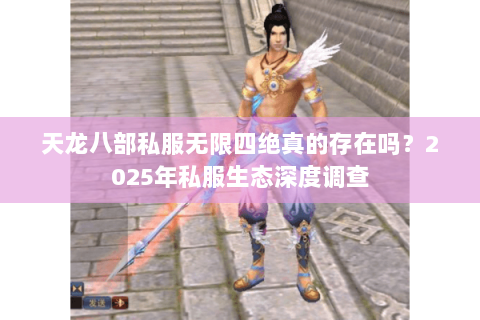 天龙八部私服无限四绝真的存在吗？2025年私服生态深度调查