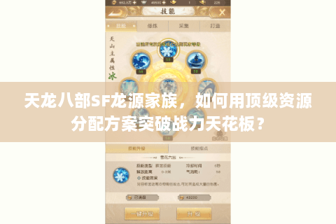 天龙八部SF龙源家族，如何用顶级资源分配方案突破战力天花板？