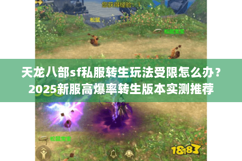 天龙八部sf私服转生玩法受限怎么办？2025新服高爆率转生版本实测推荐
