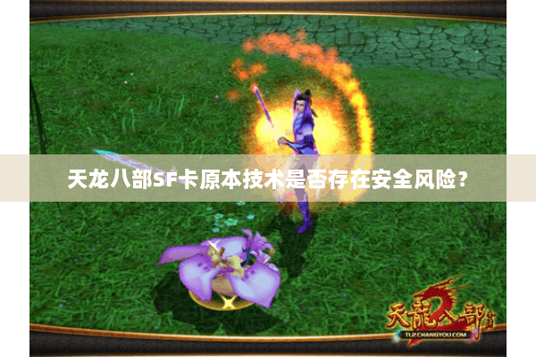 天龙八部SF卡原本技术是否存在安全风险？
