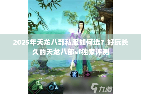 2025年天龙八部私服如何选？好玩长久的天龙八部sf独家评测