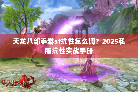 天龙八部手游sf抗性怎么调？2025私服抗性实战手册