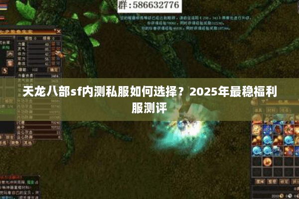 天龙八部sf内测私服如何选择？2025年最稳福利服测评