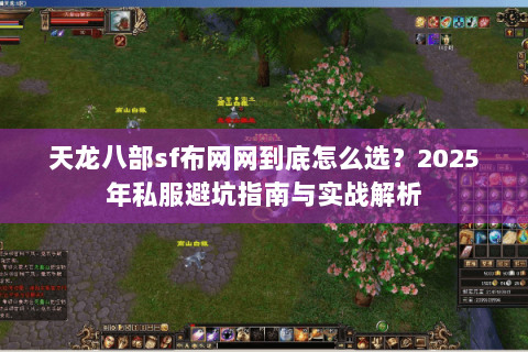 天龙八部sf布网网到底怎么选？2025年私服避坑指南与实战解析