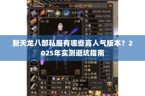 新天龙八部私服有哪些高人气版本？2025年实测避坑指南