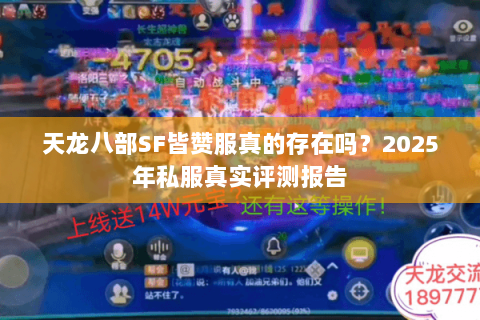 天龙八部SF皆赞服真的存在吗？2025年私服真实评测报告