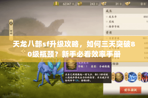 天龙八部sf升级攻略，如何三天突破80级瓶颈？新手必看效率手册