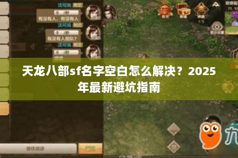天龙八部sf名字空白怎么解决？2025年最新避坑指南