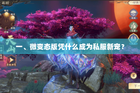一、微变态版凭什么成为私服新宠？