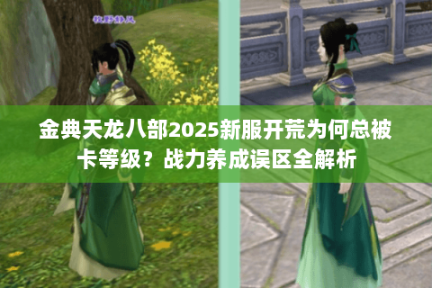 金典天龙八部2025新服开荒为何总被卡等级？战力养成误区全解析