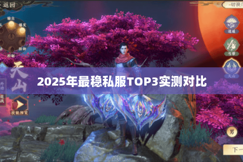 2025年最稳私服TOP3实测对比