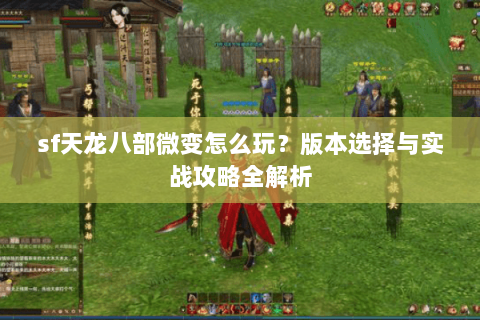 sf天龙八部微变怎么玩？版本选择与实战攻略全解析