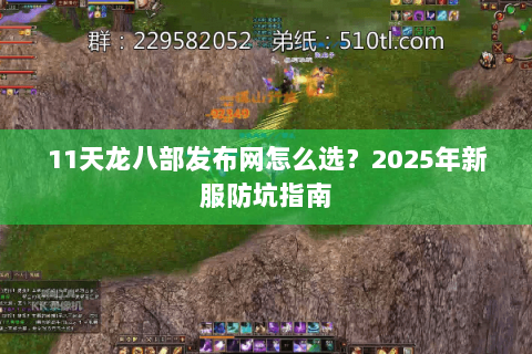 11天龙八部发布网怎么选？2025年新服防坑指南
