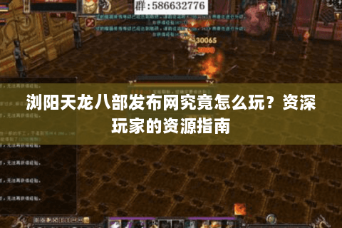 浏阳天龙八部发布网究竟怎么玩？资深玩家的资源指南