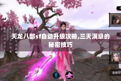 天龙八部sf自动升级攻略,三天满级的秘密技巧