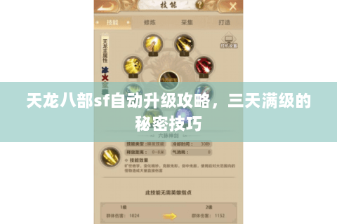 天龙八部sf自动升级攻略，三天满级的秘密技巧