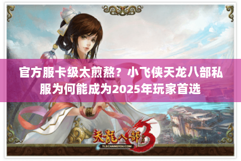 官方服卡级太煎熬？小飞侠天龙八部私服为何能成为2025年玩家首选