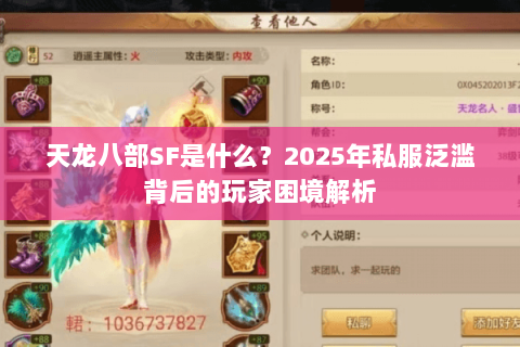 天龙八部SF是什么？2025年私服泛滥背后的玩家困境解析