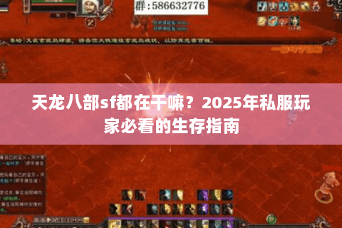 天龙八部sf都在干嘛？2025年私服玩家必看的生存指南